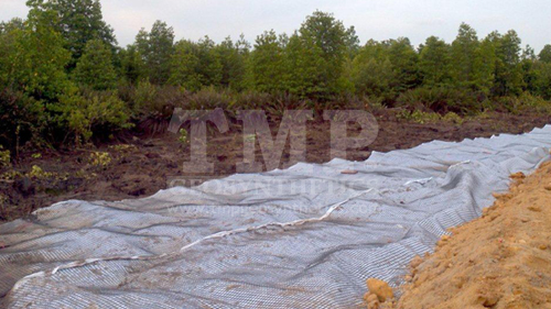 TMP Composite Geogrids 